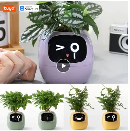 AI Smart Planter